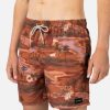 Men * | Limit Offer Dreamers 16 Volley Boardshort